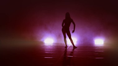 Genç, güzel balerin, dumanlı sahnede erotik, modern bale dansı yapıyor.