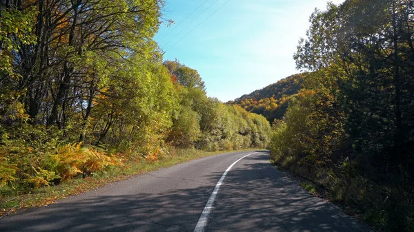 Bergauffahrt Aus Der Fahrerperspektive Durch Eine Kurvenreiche Bergstraße Mit Herbstbäumen — Stockfoto
