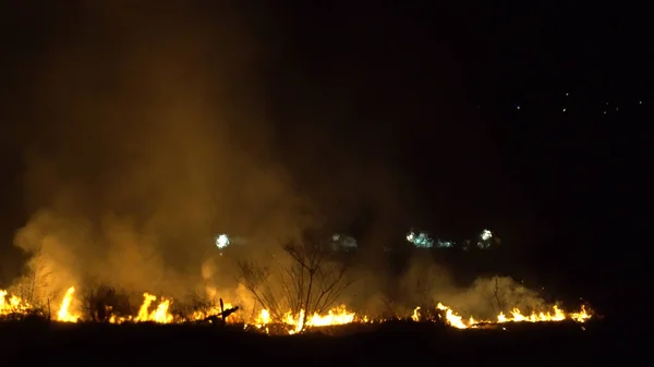 아시아의 우림의 지역입니다 밤에는 불꽃이 밤에는 연기가 피어난다 — 스톡 사진