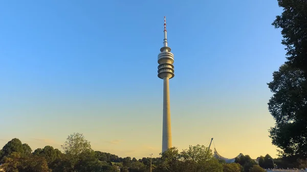 Der Olympiaturm Olympiapark Blick Zwischen Den Ästen Bei Sonnenuntergang München — Stockfoto