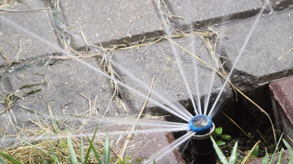 Sprinkler Aktion Vattning Gräs — Stockfoto