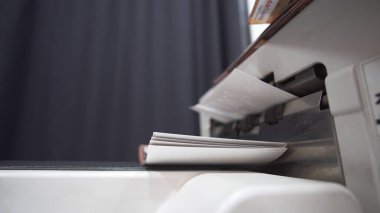 Profesyonel stüdyo yazıcısına renkli fotoğraflar yazdırılıyor