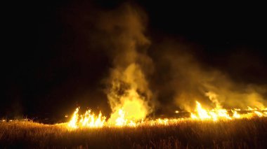 Asya 'da yağmur ormanlarının tahrip edilmesi. Ateş alevi ve gece dumanı, yakın çekim
