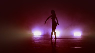 Genç, güzel balerin, dumanlı sahnede erotik, modern bale dansı yapıyor.