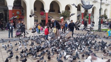 Selanik, Yunanistan - 14 Mayıs 2019: Yunanistan 'ın Selanik kentinde Yürüyen Güvercinleri Besleyen İnsanlar, yavaş çekim