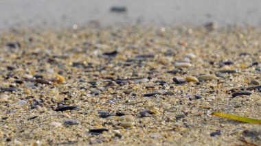 Deniz kenarındaki çakıl taşları. Mavi denizin ipeksi dalgaları