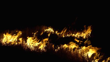 Asya 'da yağmur ormanlarının tahrip edilmesi. Ateş alevi ve gece dumanı, yakın çekim