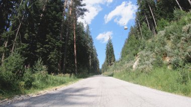 Araba ormanda yolda gidiyor.