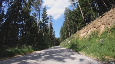 Araba ormanda yolda gidiyor.