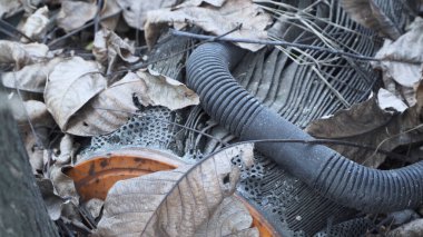 Eski araç parçalarından kaynaklanan çevresel toksik kirlilik