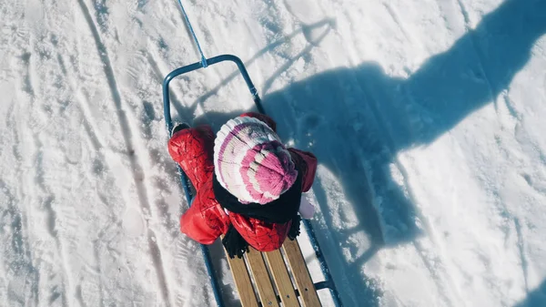 Top View Little Girl Child Sledding Snow Park Winter Lifestyle — Stock Photo, Image