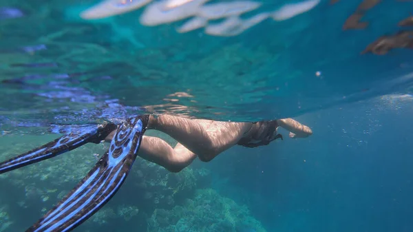 Nainen Bikineissä Snorklaamassa Veden Alla Trooppisella Saarella Egyptissä — kuvapankkivalokuva