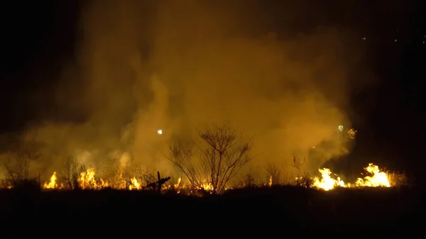 Знищення Тропічних Лісів Азії Вогонь Великий Дим Вночі Близько Вгору — стокове фото