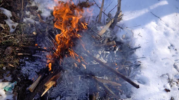 Загублений Турист Намагається Збудувати Пожежу Зимовому Холодному Лісі — стокове фото