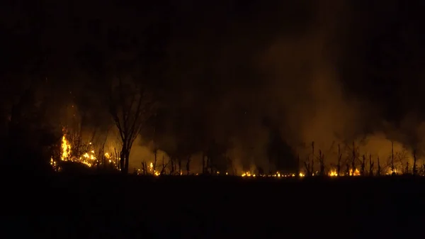 Wylesianie Lasów Deszczowych Azji Ogień Dym Nocy Zbliżenie — Zdjęcie stockowe
