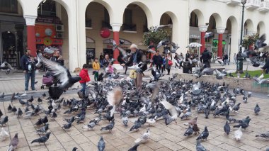 Selanik, Yunanistan - 14 Mayıs 2019: Yunanistan 'ın Selanik kentinde Yürüyen Güvercinleri Besleyen İnsanlar, yavaş çekim