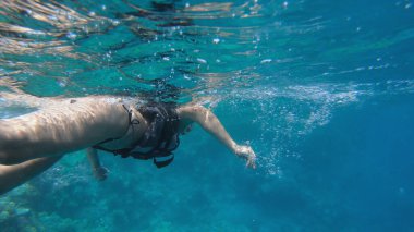 Mısır 'da tropik bir adada bikinili bir kadın su altında şnorkelle yüzüyor.