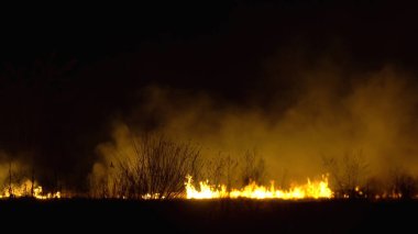 Asya 'da yağmur ormanlarının tahrip edilmesi. Ateş alevi ve gece dumanı, yakın çekim