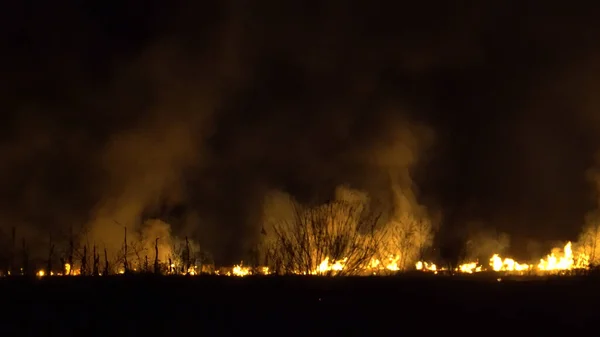 Deforestazione Delle Foreste Pluviali Asia Fiamma Fuoco Grande Fumo Notte — Foto Stock