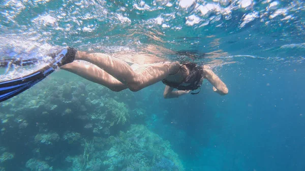 Egy Bikiniben Búvárkodik Víz Alatt Egyiptom Trópusi Szigetén — Stock Fotó