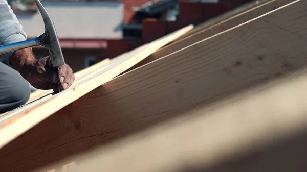 builder at work with wooden roof construction