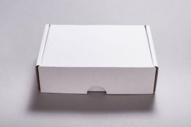 Gri sırt grubunda posta taşımacılığı için beyaz karton kutu