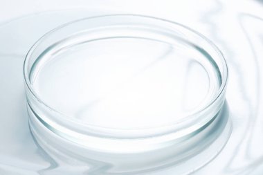 Boş cam perti kabı, laboratuvar malzemeleri.