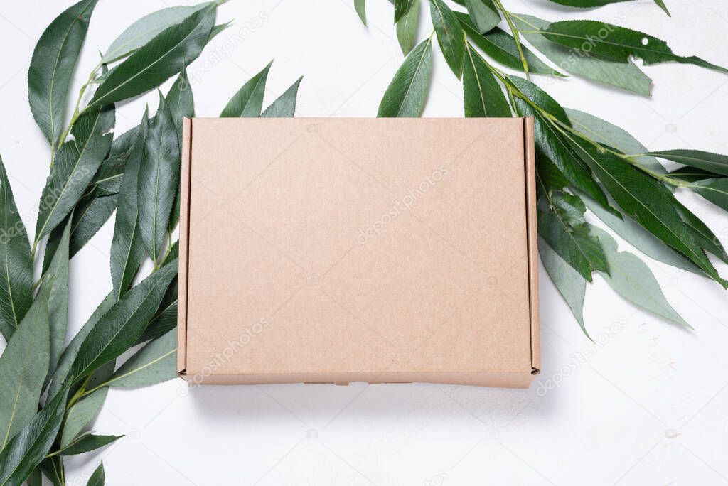 Brown cardboard box with tree brush 
