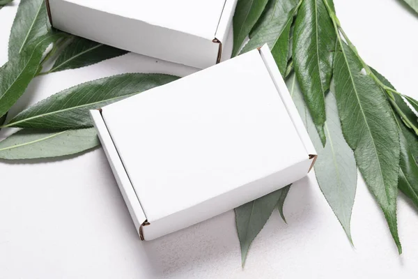 Bílá Lepenková Krabice Čerstvou Větví Stromu Ekologický — Stock fotografie