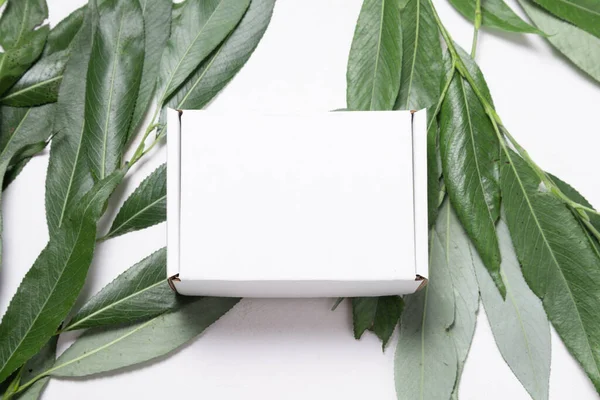 Caja Cartón Blanco Con Rama Árbol Fresco Ecológico — Foto de Stock