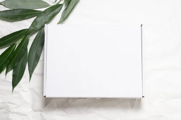 Bílá Lepenková Krabice Čerstvou Větví Stromu Ekologický — Stock fotografie