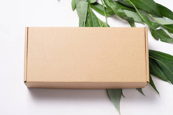 Caja Cartón Marrón Con Rama Árbol Fresco Ecológico — Foto de Stock
