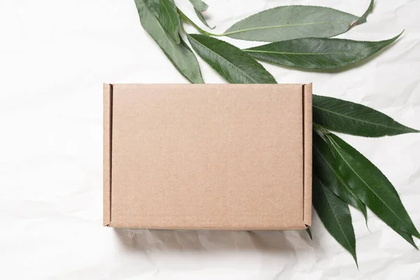 Boîte Carton Brun Avec Branche Arbre Frais Écologique — Photo
