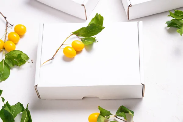 Caja Cartón Blanco Con Hojas Verdes Frescas — Foto de Stock