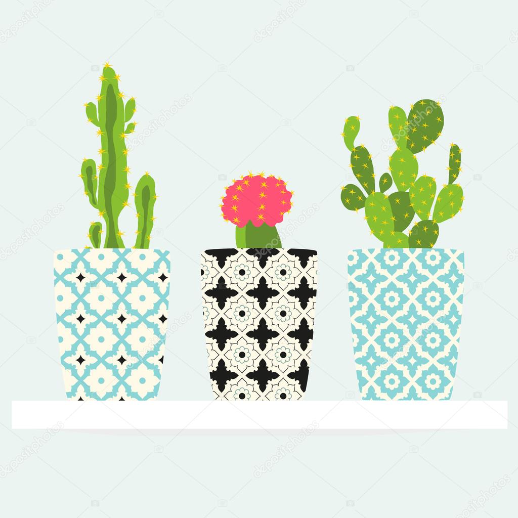 Set of cactuses pattern in pot.