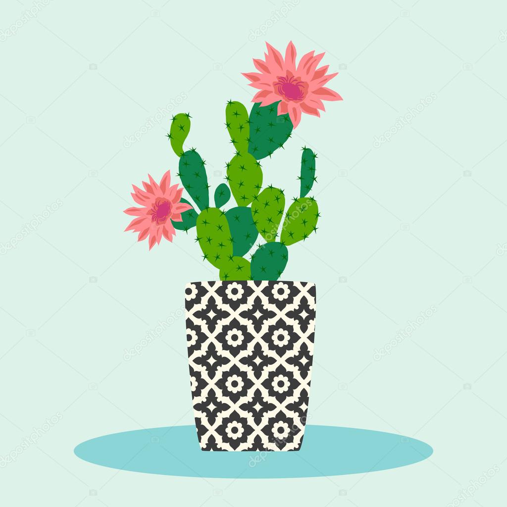 Cactus flower pot
