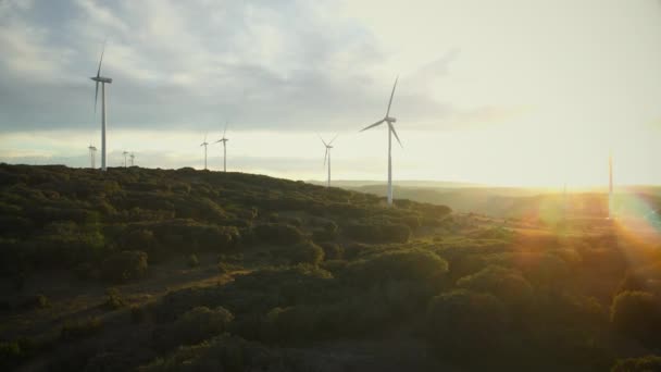 Pemandangan udara Scenic dari angin turbin pertanian di waktu matahari terbenam — Stok Video