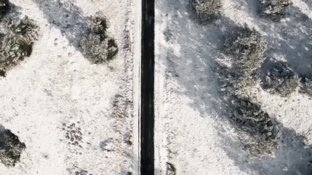 Vue aérienne de la route couverte de neige vide dans la forêt d'hiver — Video