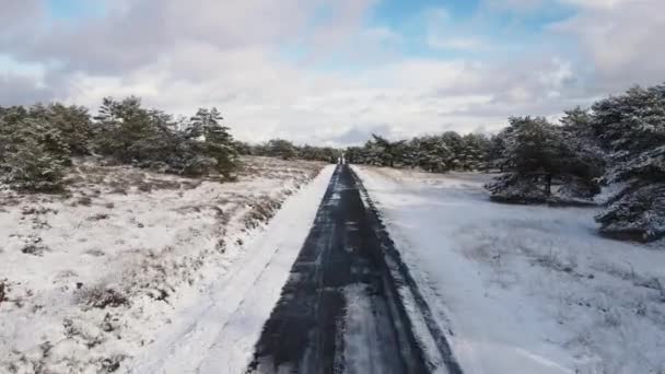 Вид с воздуха на пустую заснеженную дорогу в зимнем лесу — стоковое видео