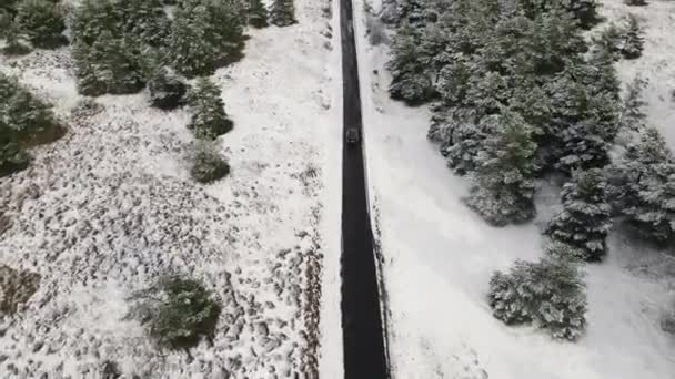 Vista aérea de árboles cubiertos de nieve en bosque y carretera de invierno con un coche. — Vídeos de Stock