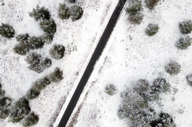 Boş kar manzaralı kış ormanı yolu.