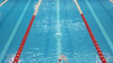 Havadan, İHA 'dan aşağı profesyonel yüzücü görüntüsü, yüzme havuzunda yüzme..