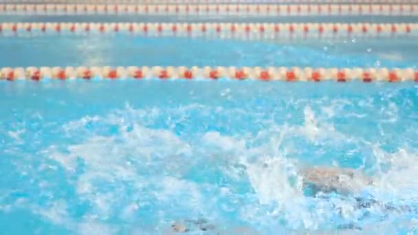 Nuotatore maschio che fa un ictus da farfalla durante l'allenamento in piscina, rallentamento. — Video Stock