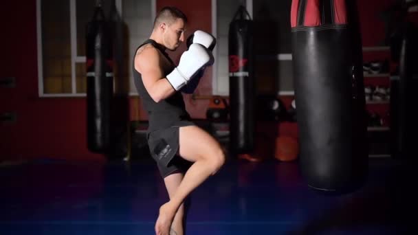 Muscular handsome kickboxing fighter giving a forceful forward kick during a practise round with a boxing bag in slow motion. — Stock Video