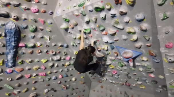 Esportista alpinista subindo em rocha íngreme, subindo na parede artificial dentro de casa. Conceito de esportes radicais e pedregulhos — Vídeo de Stock