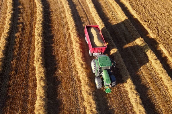 Máquinas agrícolas no campo dourado. trator durante obras sazonais no verão. Tiro aéreo. — Fotografia de Stock