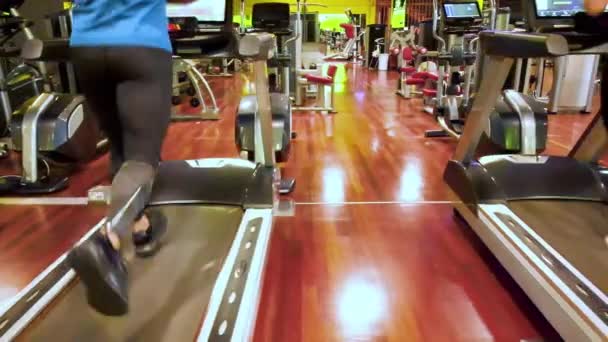 Groupe de jeunes qui courent sur des tapis roulants dans une salle de sport moderne. — Video