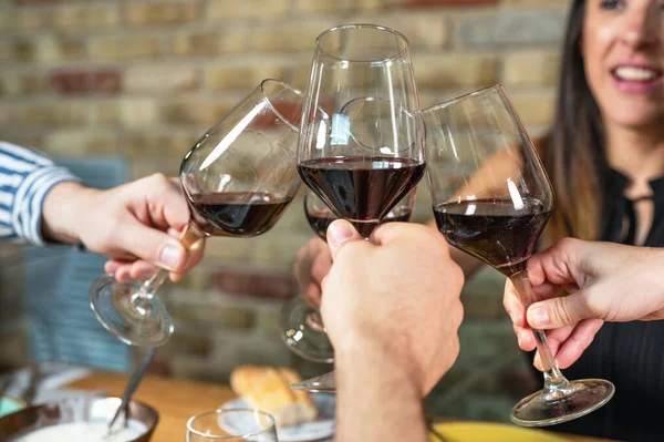 Celebration. Group of friends holding The Glasses Of Wine Making A Toast. — Stock Photo, Image