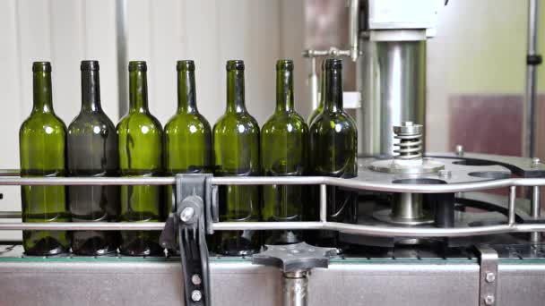 Garrafas de vidro na linha de transporte automático na fábrica de vinhos. Instalação para engarrafamento de bebidas alcoólicas. — Vídeo de Stock