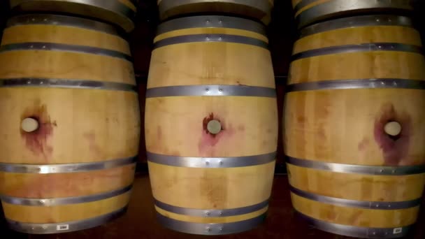 Vedere aeriană deasupra pivniței de vin plină de butoaie de lemn . — Videoclip de stoc